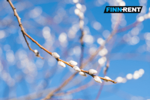 Laadukas vuokra-auto pääsiäiseksi kotimaiselta Finn-Rentiltä